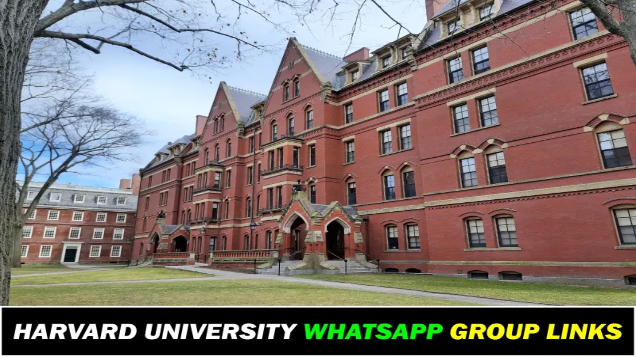 Harvard University WhatsApp Group Links